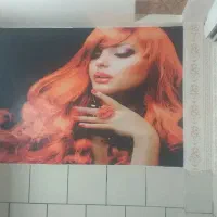 کاغذ دیواری|خدمات پیشه و مهارت|مشهد, میعاد (شهرک غرب)|دیوار