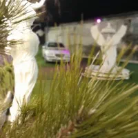 تالار|خدمات پذیرایی، مراسم|تبریز, |دیوار