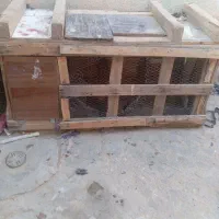 قفس معاوضه با دوچرخه