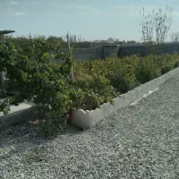 باغچه چهار دیواری ۴۰۹متر با سند مادر /برق کشی شده|فروش زمین و ملک کلنگی|رباط‌کریم, یقه|دیوار