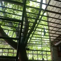 جوشکاری سیار|خدمات پیشه و مهارت|دورود, |دیوار