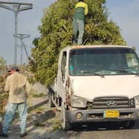 فروش خودرو شیش چرخ هیوندا hd65 جزیره کیش