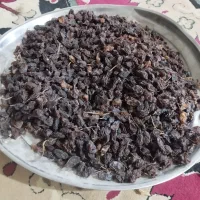 مویز افتابی