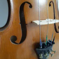 ویولن|ویولن|سنندج, |دیوار