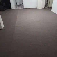 موکت درحد نو|موکت|سنندج, |دیوار