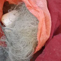تور قبادی