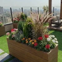 فضای سبز