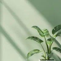 بازیگر تولید محتوا
