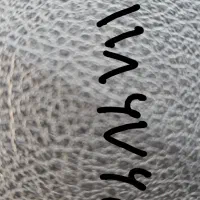 فروش سیم کارت 09131186765