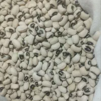 لوبیا چش بلبلی بوجاری شده فروش عمده