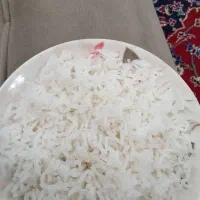 ۱۰ کیلو برنج هاشمی لاهیجان