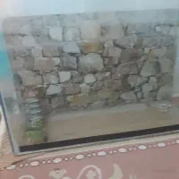 آکواریوم