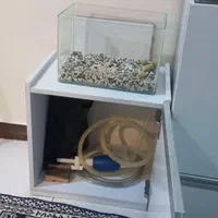 آکواریوم و میز|ماهی|پردیس, فاز ۲|دیوار