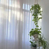 پرده حریر اصلی سفید دوخت مینیمال