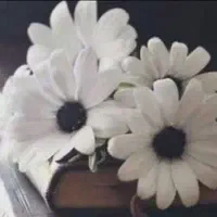 راهنمایی درمورد تخمک اهدایی