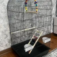 قفس عروس هلندی کوتوله گرینچیک و انواع پرندگان|لوازم جانبی حیوانات|اراک, |دیوار