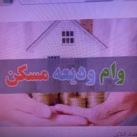 وام ۲۷۵ میلیون تومانی با یک ضامن