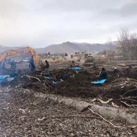 دراوردن ریشه درخت گردو بصورت رایگان|خدمات باغبانی و درختکاری|الشتر, |دیوار