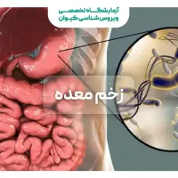 درمان قطعی معده ،ورم ،ترش کردن ،پولیپ معده ورفلاکس
