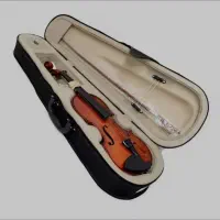 ویولن آماتی ۱۰۰