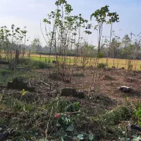 زمین مسکونی با پروانه ساخت با ۱۳ متر بر آسفالت|فروش زمین و ملک کلنگی|رشت, شکار اسطلخ|دیوار