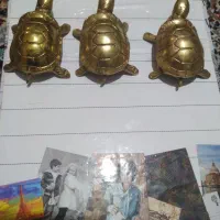 لاکپشت برنزی