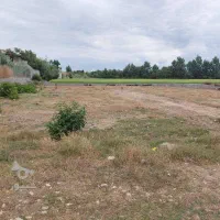 زمین کشاورزی دارای آب