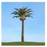 زمین فروشی قاسم آباد
