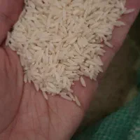 برنج طارم|خوردنی و آشامیدنی|قم, شهرک قدس|دیوار