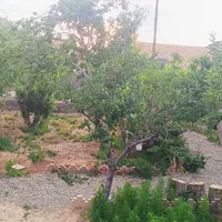 خانه ویلایی با درختان میوه روستای صنوبر|فروش خانه و ویلا|تربت‌حیدریه, بالا ولایت|دیوار