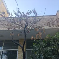 کلنگی باپروانه هفت سقف|فروش زمین و ملک کلنگی|اصفهان, شاه پسند|دیوار