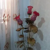 آباژور شیک