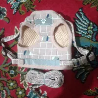 قلاده توله سگ