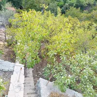 فروش معاوضه یا تهاتر زمین آماده ساخت