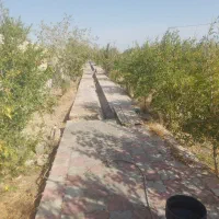 باغ-فروشی-وقابل-تفکیک-به-چند-باغ