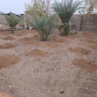 شخم زدن زمین باتیلر|خدمات باغبانی و درختکاری|آبادان, |دیوار