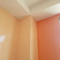 نقاشی نقاش ساختمان درب و پنجره رنگ روغنی پلاستیک|خدمات پیشه و مهارت|فولادشهر, C4|دیوار