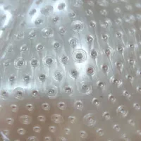 کلاه رابسون