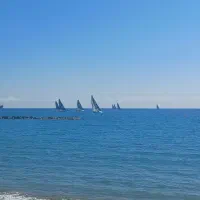 ویزای فوری آلمان..فرانسه شرایط ویژه|خدمات حمل و نقل|تهران, تجریش|دیوار