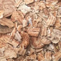 فروش نان خشک