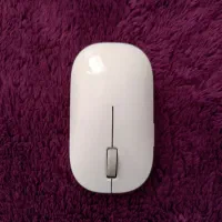 موس درجه یک