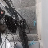 دوچرخه ۲۶ ویوا اصل|دوچرخه، اسکیت، اسکوتر|اردبیل, |دیوار