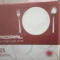 سرویس آکروپال25 پارچه،گوشتکوب برقی، همزن وشیکر