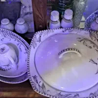 ظروف پذیرایی