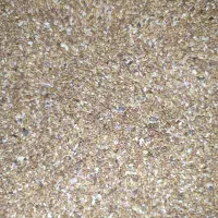 تخم یونجه|خدمات باغبانی و درختکاری|معصومیه, |دیوار