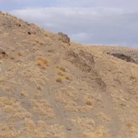 زمین-کشاورزی