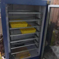 دستگاه جوجه کشی