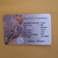 پک سکه خارجی