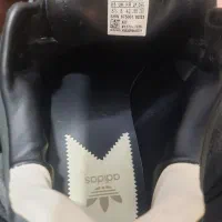 پوتین و کتونی|کیف، کفش، کمربند|بومهن, |دیوار