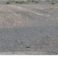 زمین باغی مناسب سرمایه گذاری